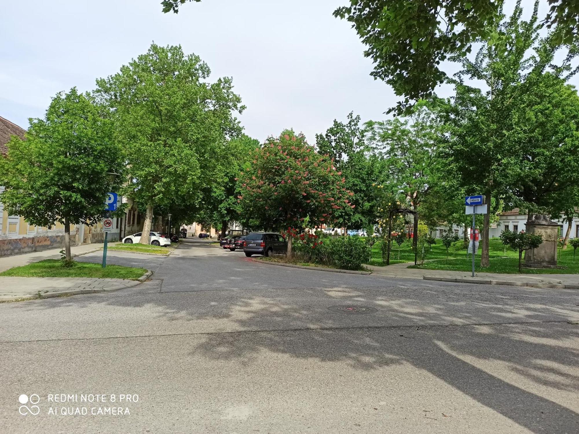 Alte Muehle Daire Rust Dış mekan fotoğraf