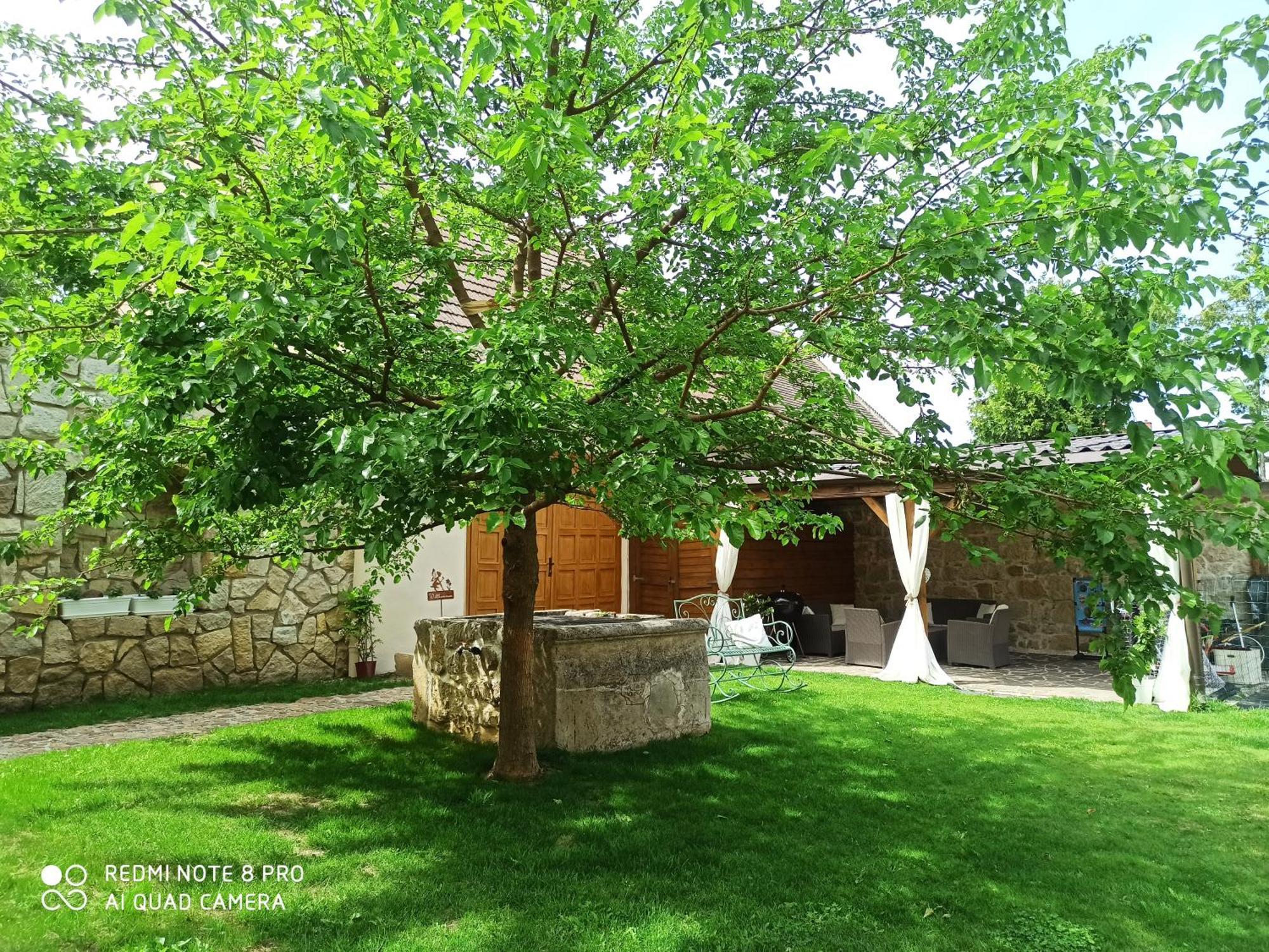 Alte Muehle Daire Rust Dış mekan fotoğraf